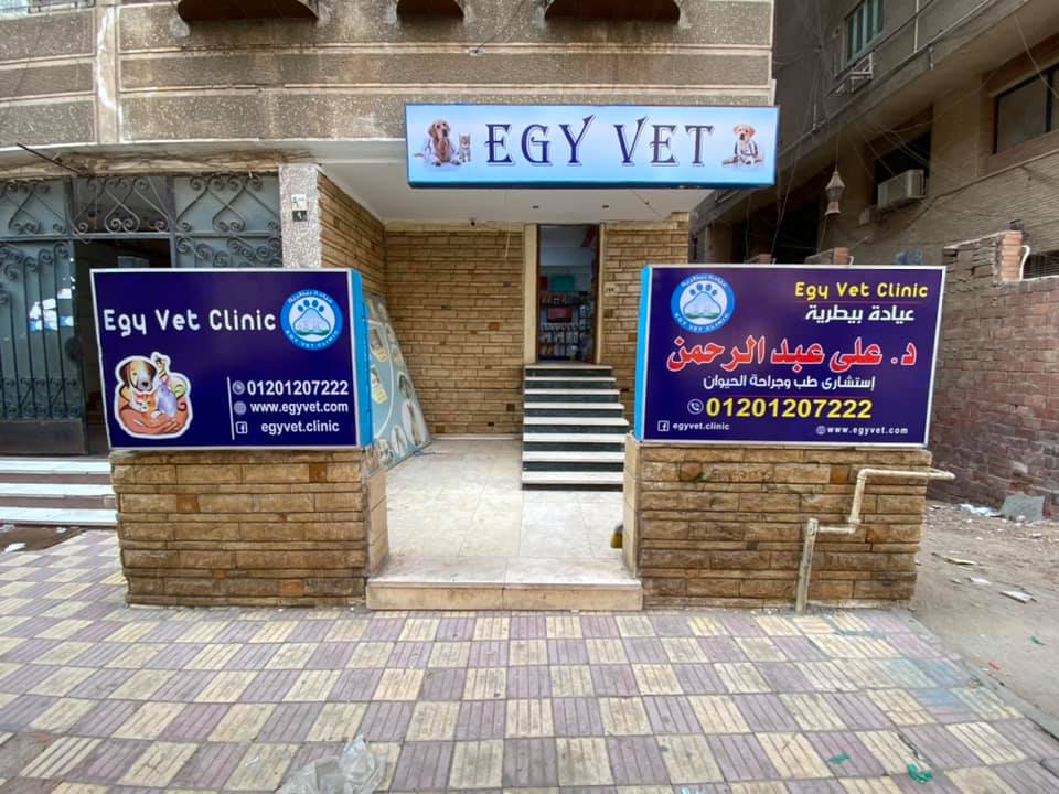 مرض الايرليخيا في الكلاب-Ehrlichiosis in Dogs